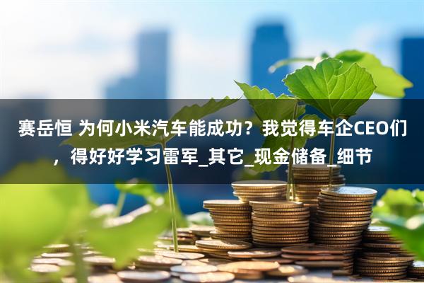 赛岳恒 为何小米汽车能成功？我觉得车企CEO们，得好好学习雷军_其它_现金储备_细节