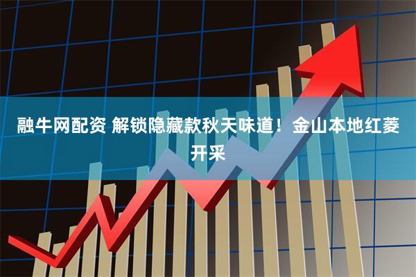 融牛网配资 解锁隐藏款秋天味道！金山本地红菱开采