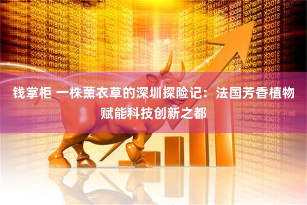 钱掌柜 一株薰衣草的深圳探险记:法国芳香植物赋能科技创新之都