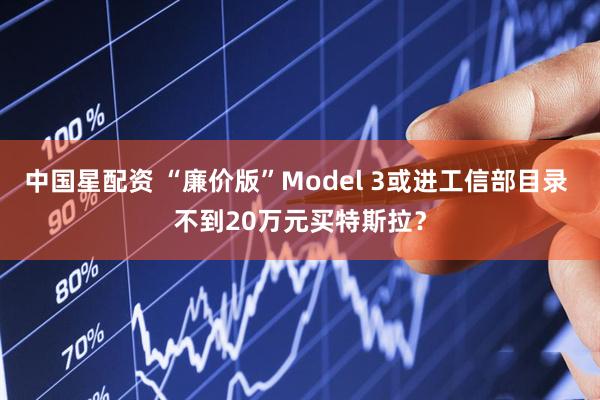 中国星配资 “廉价版”Model 3或进工信部目录 不到20万元买特斯拉？