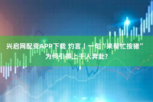 兴启网配资APP下载 灼言丨一句“来帮忙按猪” 为何引得上千人奔赴?