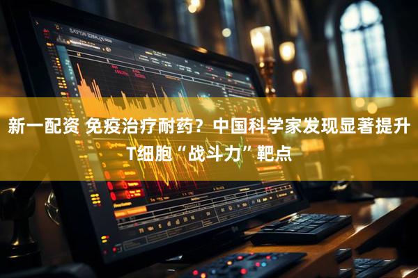 新一配资 免疫治疗耐药？中国科学家发现显著提升T细胞“战斗力”靶点