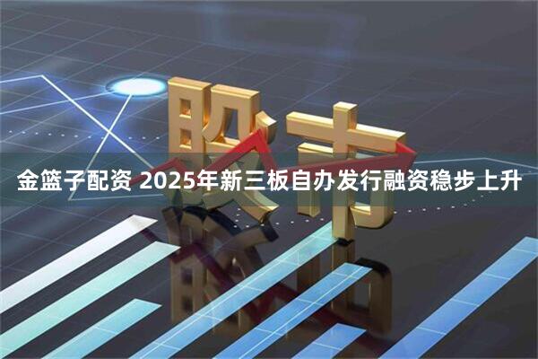 金篮子配资 2025年新三板自办发行融资稳步上升